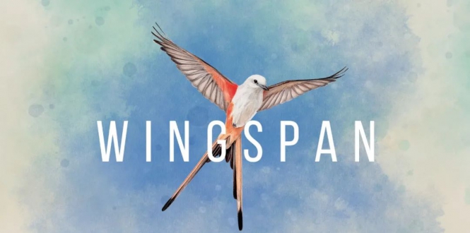 展翅翱翔/Wingspan-游戏白嫖网