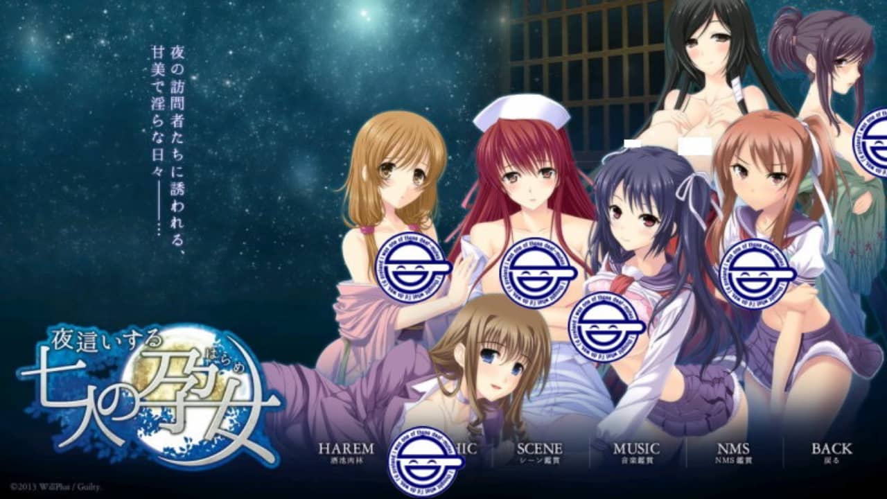 夜袭七人孕女/夜這いする七人の女-游戏白嫖网