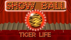 秀球：虎命 Show Ball: Tiger Life-游戏白嫖网