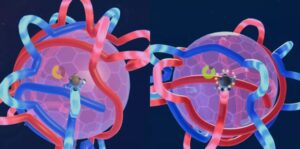 太空熊派对 Astro Bears Party-游戏白嫖网