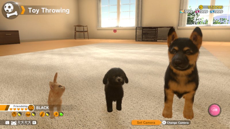 小小伙伴：狗狗猫猫 Little Friends: Dogs & Cats Little Friends: Dogs & Cats-游戏白嫖网