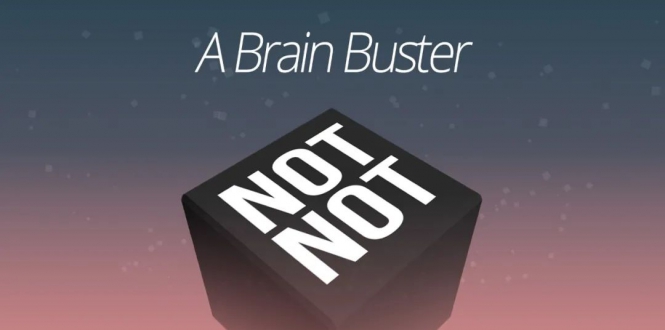 大脑破坏者 Not Not – A Brain Buster-游戏白嫖网