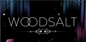 木盐 Woodsalt-游戏白嫖网