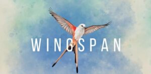 展翅翱翔 Wingspan-游戏白嫖网