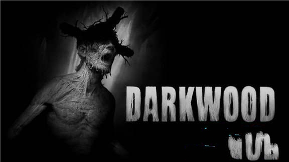 阴暗森林 Darkwood-游戏白嫖网