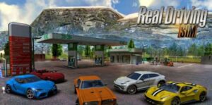 真实驾驶模拟 Real Driving Sim-游戏白嫖网