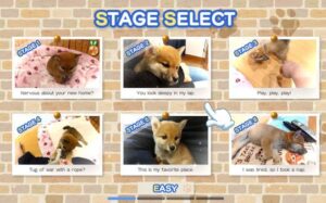 像素游戏制作大师：我爱一条柴犬 Pixel Game Maker Series Shiba Mekuri-游戏白嫖网