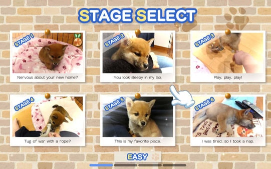 像素游戏制作大师：我爱一条柴犬 Pixel Game Maker Series Shiba Mekuri-游戏白嫖网