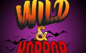 狂野和恐怖弹子球 Wild & Horror Pinball-游戏白嫖网