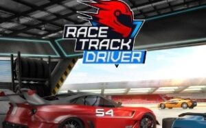 赛道车手 Race Track Driver-游戏白嫖网