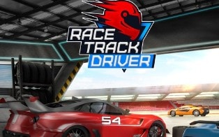 赛道车手 Race Track Driver-游戏白嫖网