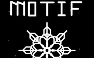 模体 Motif Motif motif-游戏白嫖网