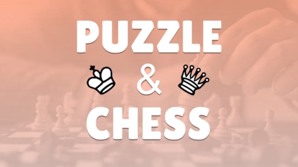 Puzzle and Chess-游戏白嫖网