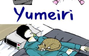 尤梅里 Yumeiri-游戏白嫖网