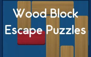 Wood Block Escape Puzzles-游戏白嫖网