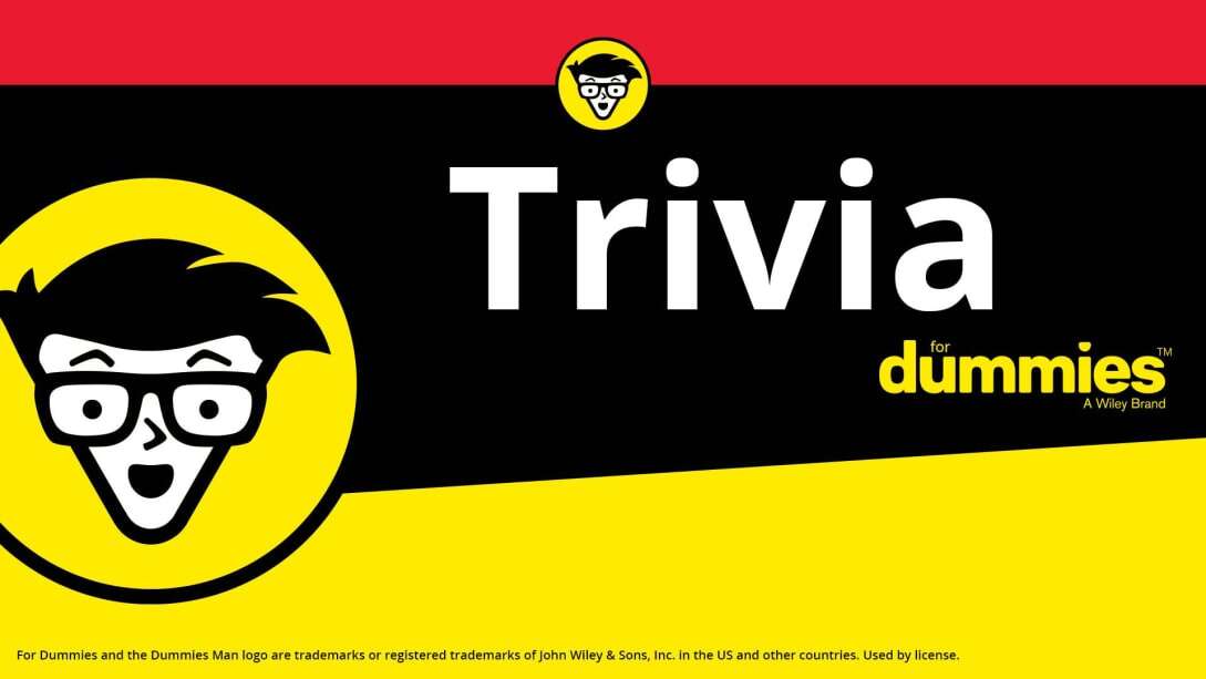 Trivia For Dummies-游戏白嫖网