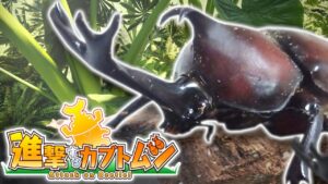 攻击甲虫 Attack on Beetle-游戏白嫖网